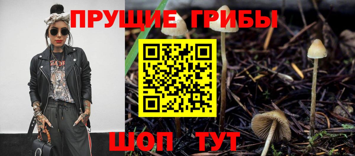 Псилоцибиновые грибы Magic Shrooms Старая Купавна