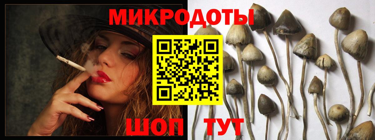 Псилоцибиновые грибы прущие грибы  Псилоцибиновые грибы мухоморы  Старая Купавна  Вход с VPN 